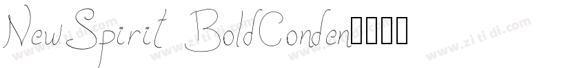 NewSpirit BoldConden字体转换